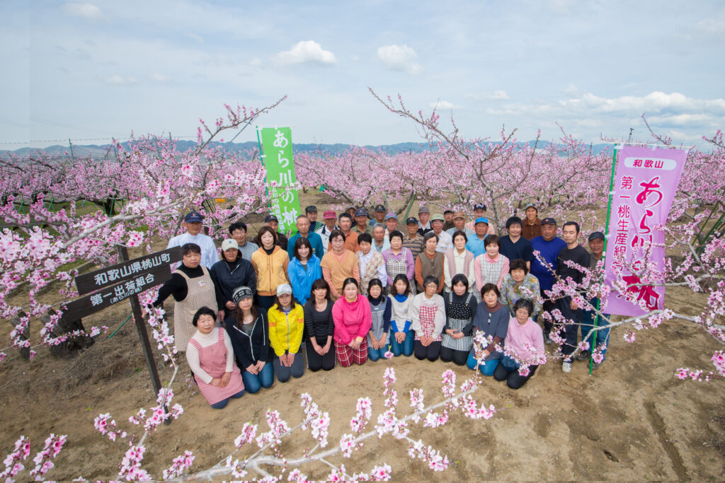あら川第一桃生産組合様